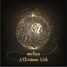 Load image into Gallery viewer, A Christmas Wish - Music CD